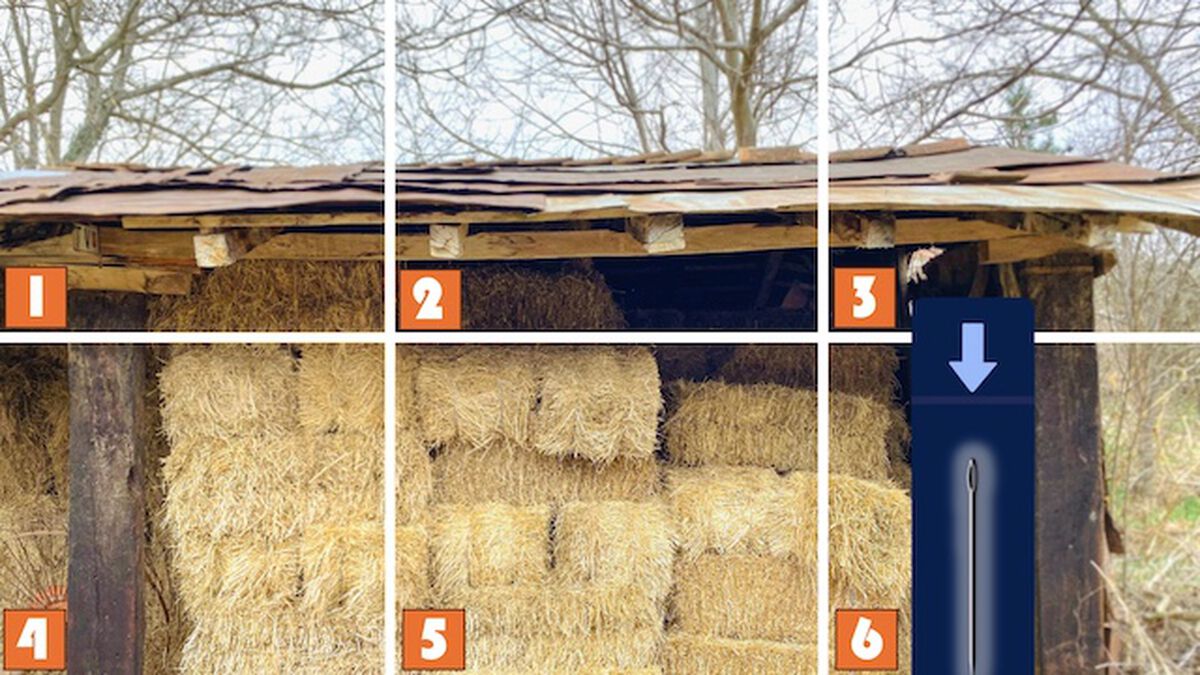 Needle in a Haystack image number null